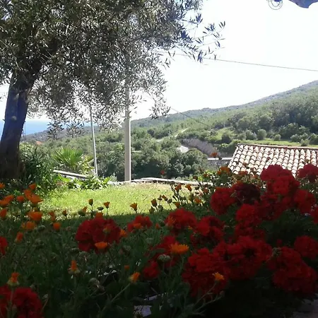 Apartman Silva *